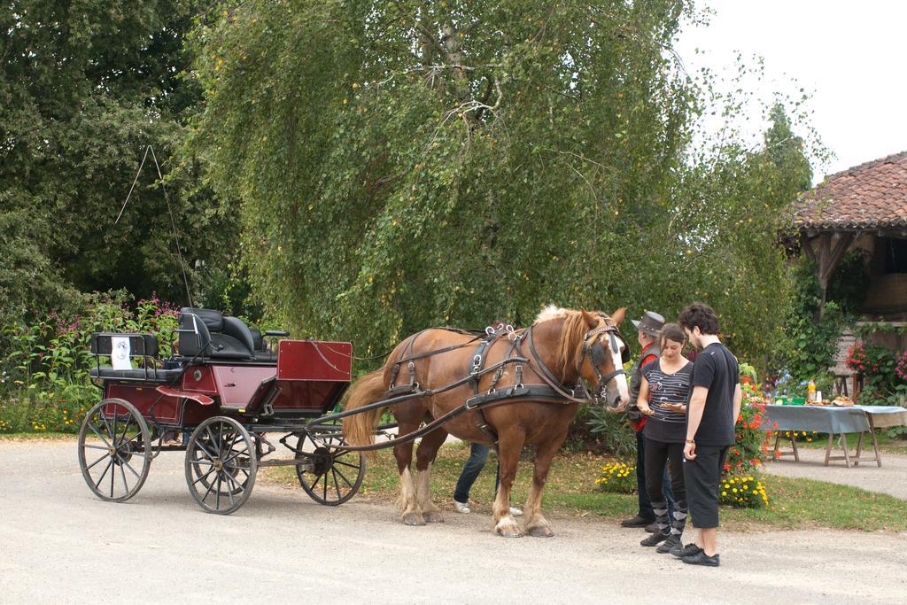 Ferme De Montalibord Villa Vescours Dış mekan fotoğraf